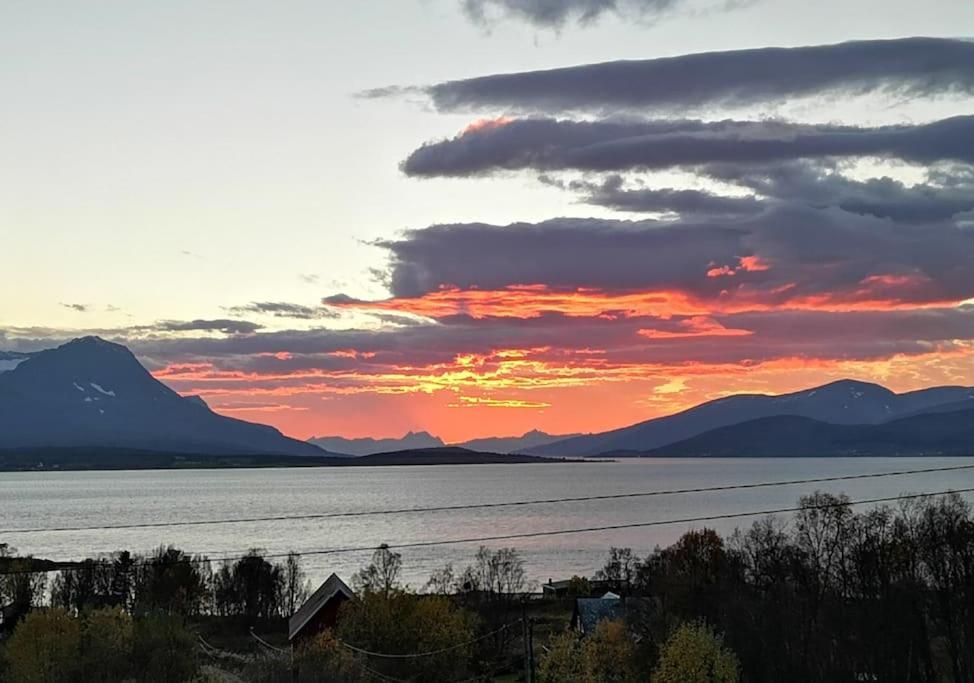 Liten Kjellerleilighet. Landlig Rolig Omrade. Tromsø Buitenkant foto