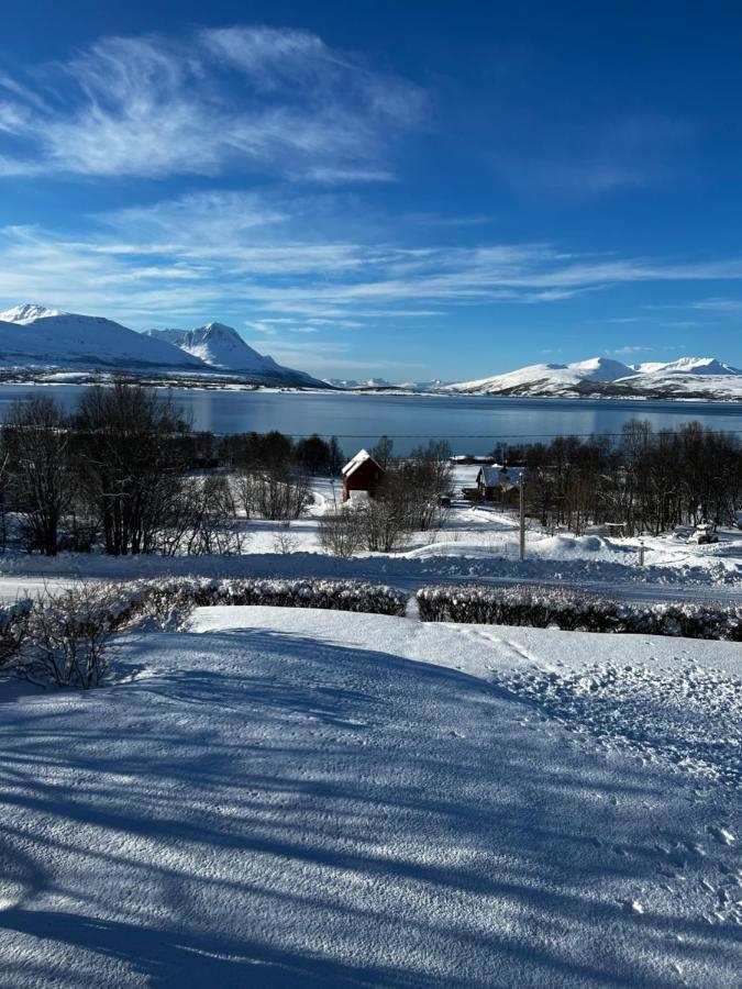 Liten Kjellerleilighet. Landlig Rolig Omrade. Tromsø Buitenkant foto